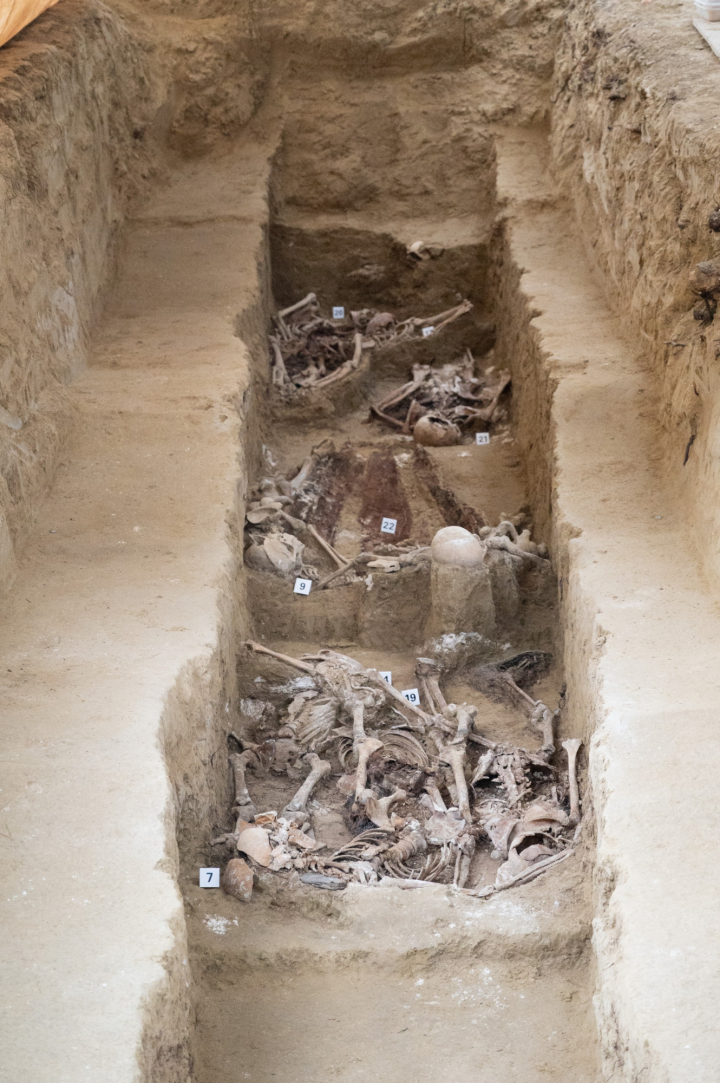 Imagen del estado de la fosa de Ejea de los Caballeros con los huesos.