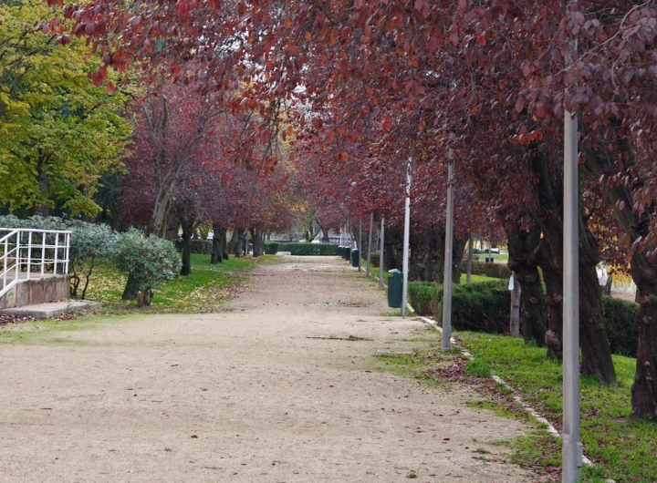 Fotografía en exteriores del realme GT 8 Pro. Rinde muy bien.