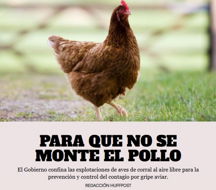 PARA QUE NO SE MONTE EL POLLO