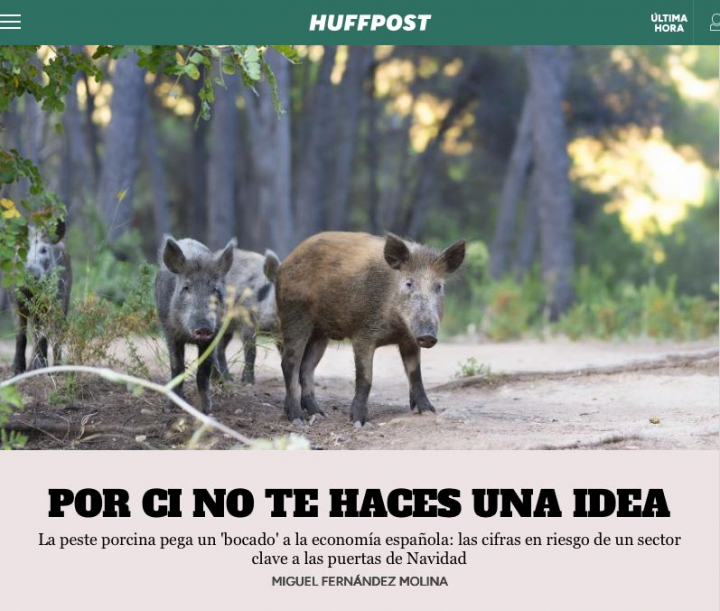 POR CI NO TE HACES UNA IDEA