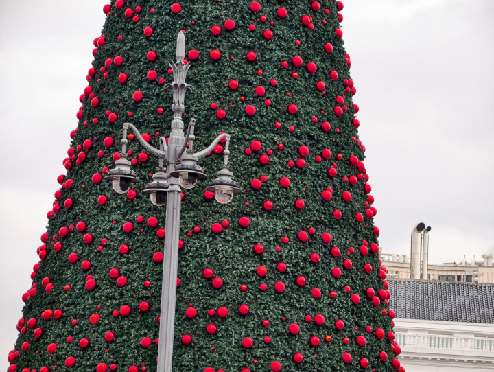 Fotografía hecha con el teleconvertidor ZEISS con el vivo X300 Pro.