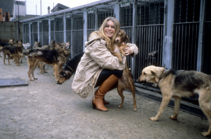 brigitte-bardot-animales