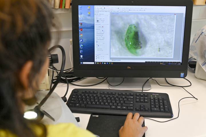 estudios-microplásticos-en-cuestion