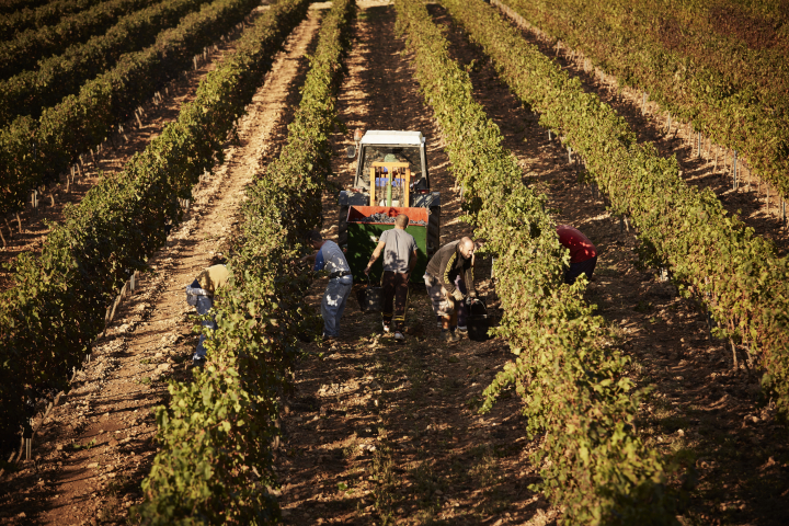 Agricultor trabajando la tierra con un tractor