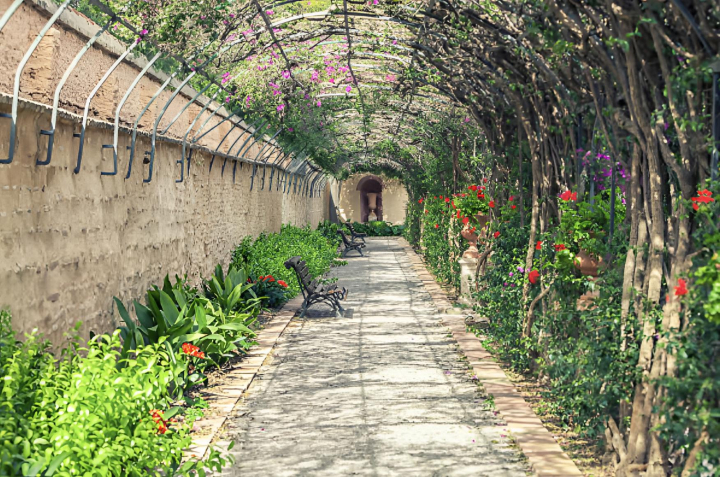 alt="alt="Un pasillo verde del Jardín de Monforte (Valencia)""