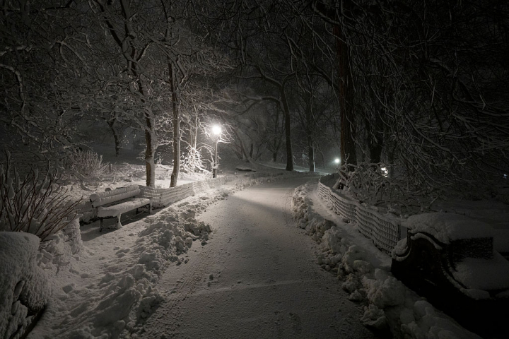 alt="alt="Central Park, bajo la nieve.""