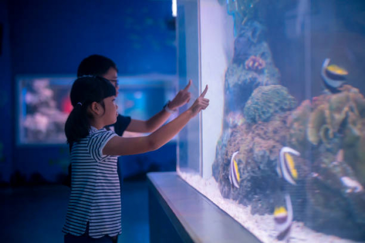 alt="alt="Kids-boy and girl- watching fishes""