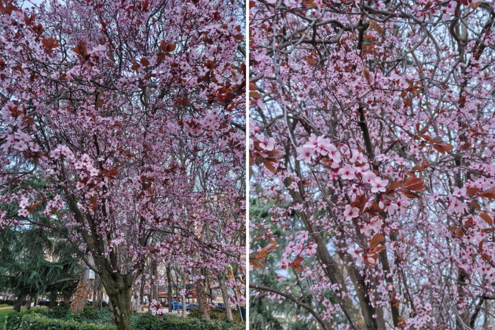 Dos fotografías realizadas con la cámara principal del TCL NXTPAPER 70 Pro.