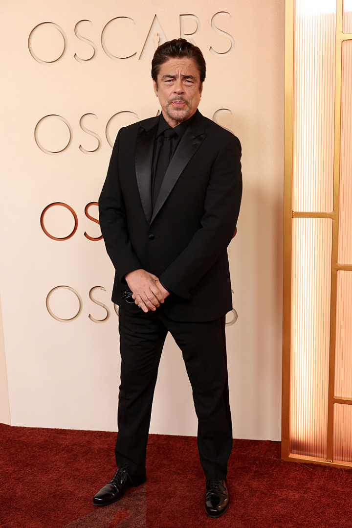 alt="alt="Benicio del Toro""