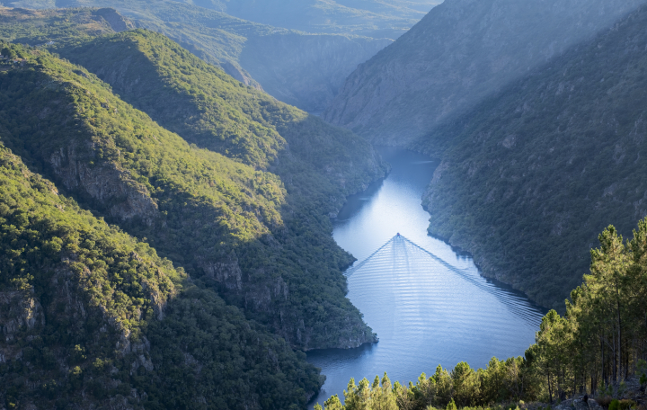En la Ribeira Sacra, el río Sil se abre paso entre grandes paredes verticales salpicadas por bancales de viñedos.