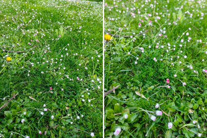 Fotografías hechas con el POCO X8 Pro.