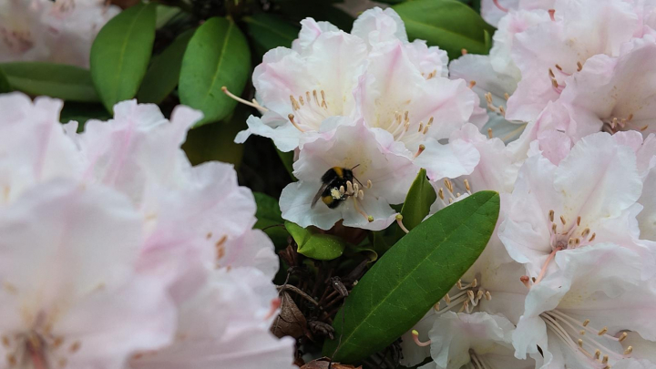 Fotografía hecha con la DJI Osmo Pocket 4.