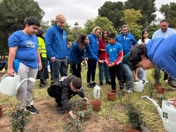Plantación en Sevilla.
