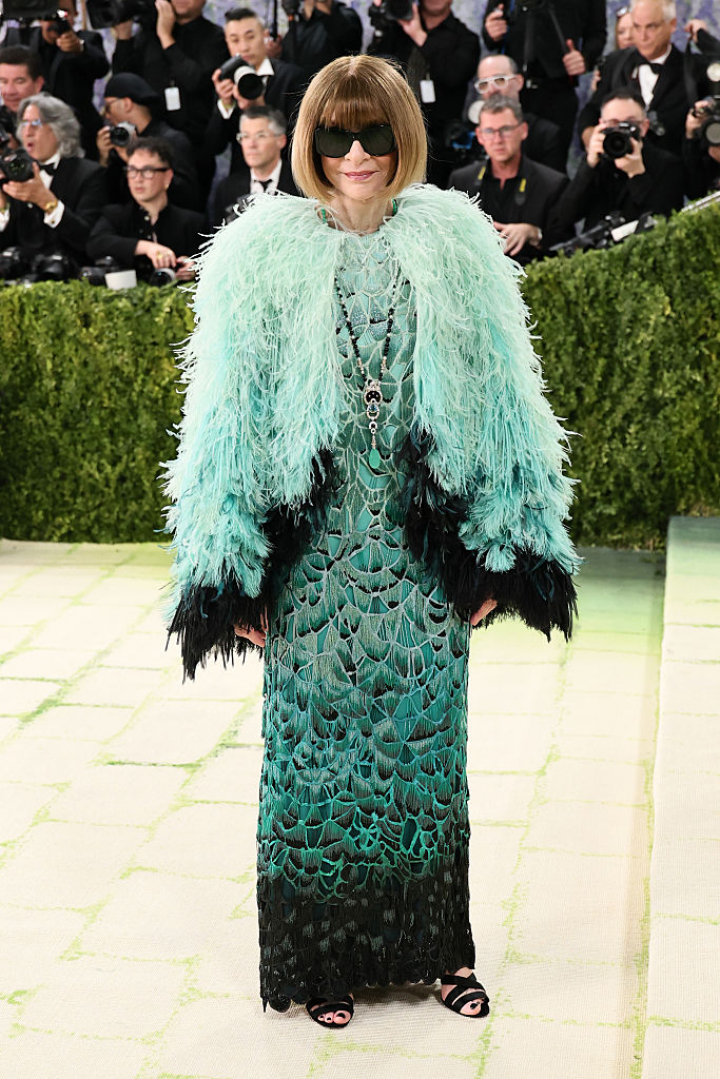 alt="alt="La editora apostó por un diseño verde mente degradado con una capa de plumas""