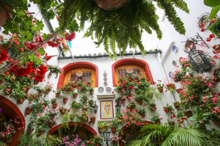 alt="alt="The Patios Festival is celebrated during the second and third week of May. Many houses of the historic centre open their private patios to the public and compete in a contest. Both the architectonic value and the floral decorations are taken into consideration to choose the winners. Cordoba, Andalusia, Spain""