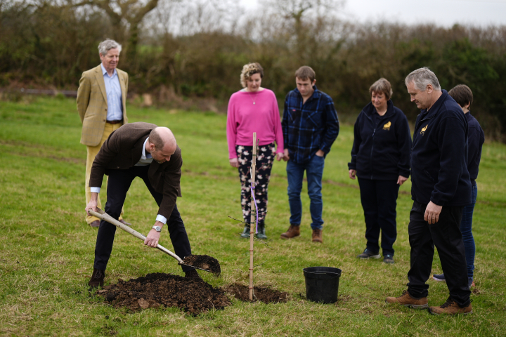 El príncipe Guillermo plantando un árbol en Helston, Cornualles