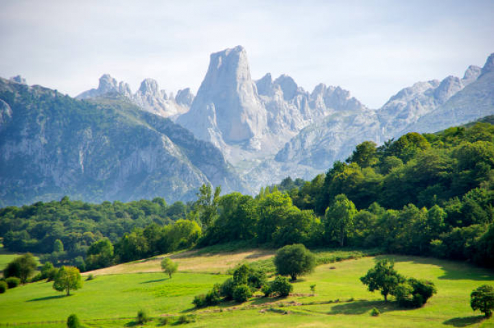 alt="alt="A meadow of Asturias with Naranjo de Bulnes mountain in the background.""