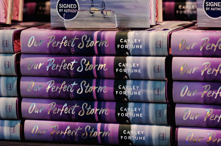 alt="alt="Un ejemplar de 'Una tormenta perfecta', de Carley Fortune""