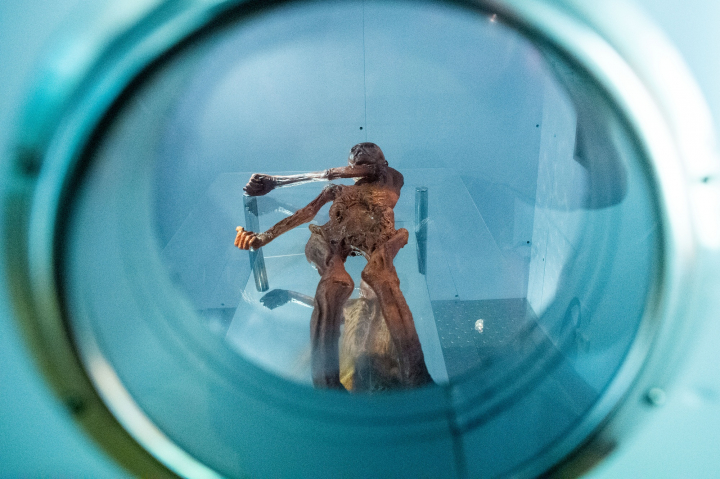 Una réplica del hombre de los hielos Ötzi en una exposición de un museo alemán.