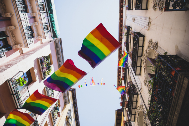 evolucion-orgullo-espana