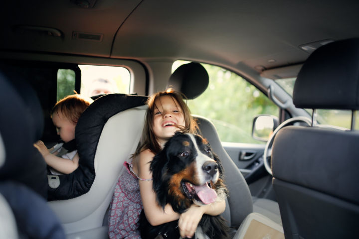 Un perro disfruta del viaje en un coche con su familia.