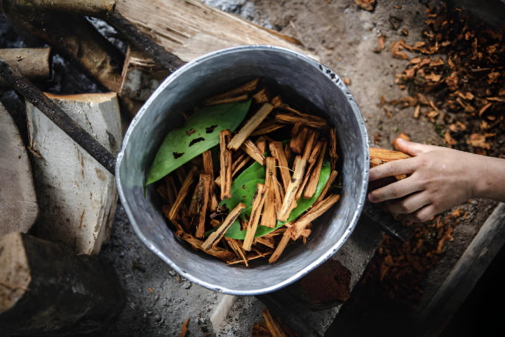 Una olla con preparación de ayahuasca