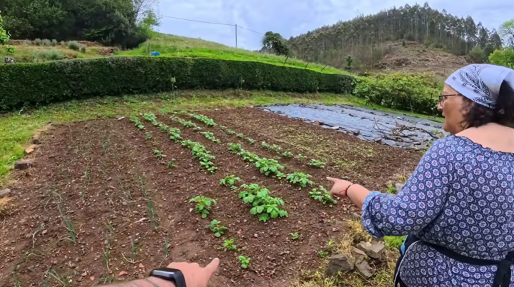 vive-sola-pueblo-cultiva3