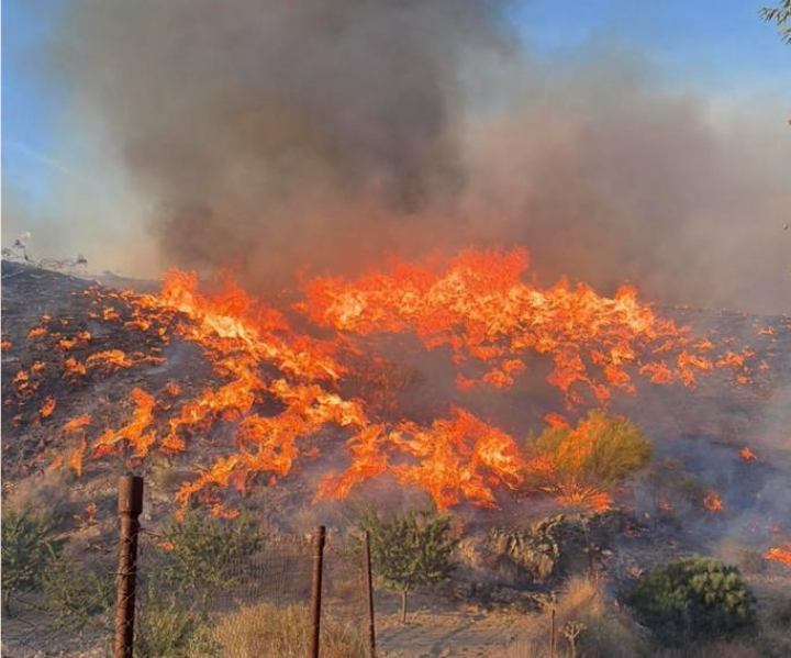alt="alt="Vista del incendio en el municipio almeriense de Los Gallardos, en la tarde del 9 de julio de 2026, antes de causar al menos 11 muertes.""
