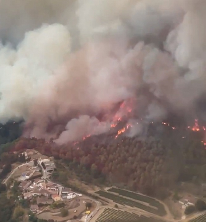 El incendio que ha comenzado este domingo en una zona boscosa de Aiguamúrcia (Tarragona) ha quemado en apenas dos horas unas 80 hectáreas de masa forestal, impulsado por el viento de marinada.