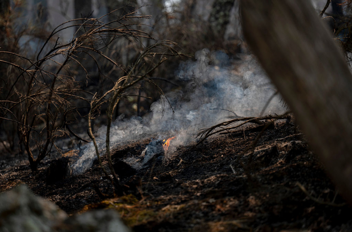 Rescoldos tras el fuego en el incendio de Ávila fotografiadas el 27 de julio de 2026.