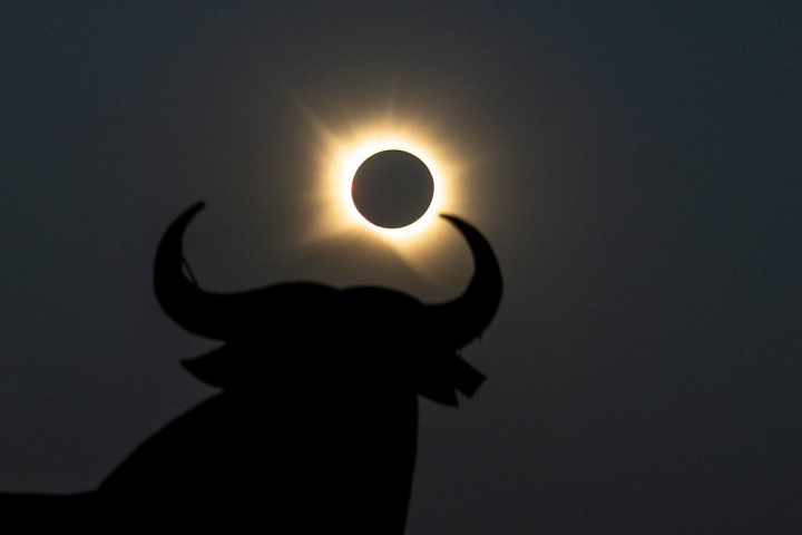 alt="alt="Un toro de Osborne en Guadalajara.""