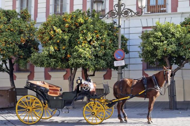 Imagen de archivo de una calesa con varios naranjos al fondo, en una calle de Sevilla (Andalucía).