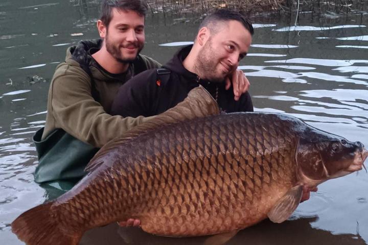El ejemplar gigante de carpa capturado en Italia.
