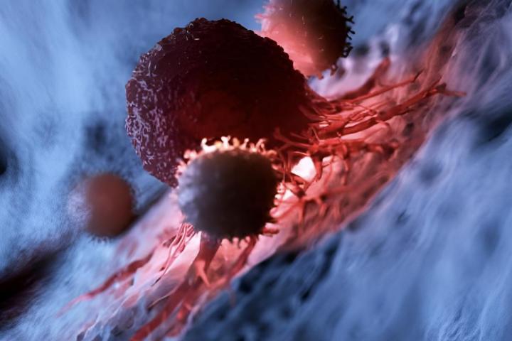 Ilustración de glóbulos blancos atacando una célula cancerosa.