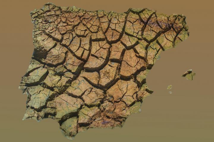 Imagen simbólica sobre la desertificación.