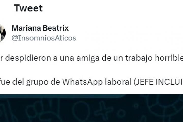 El tuit de @insomniosaticos