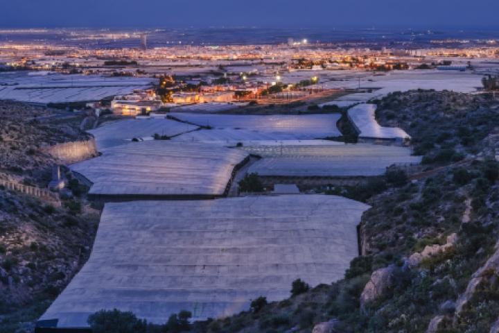 Vista panorámica de El Ejido, donde se han vendido el primer premio de la Lotería Nacional de hoy