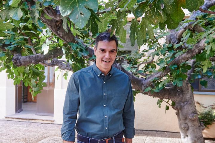 Pedro Sánchez.