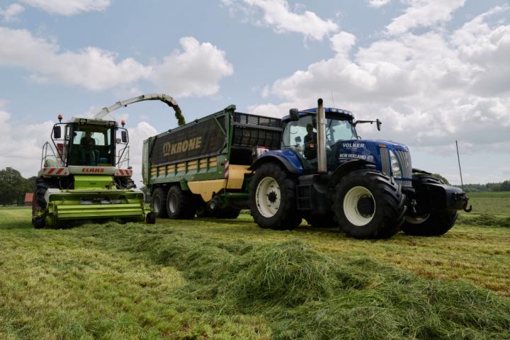 Agricultores de Países Bajos recogen hierba para alimentar vacas de producción de leche.