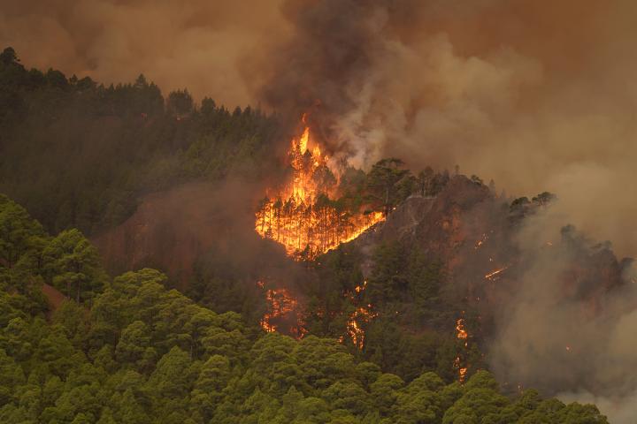 Imagen del incendio forestal en Tenerife