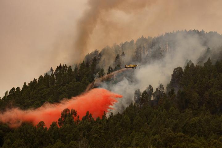 Un avión participa en las labores de extinción de incendio forestal en el municipio tinerfeño de El Rosario, muy cercano al núcleo poblacional de La Esperanza.