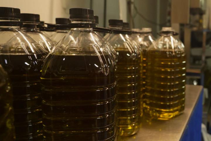 Garrafas de aceite de oliva en los almacenes de una productora en Andalucía.