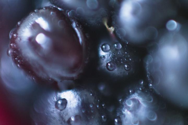 Plano detalle del alimento en cuestión.