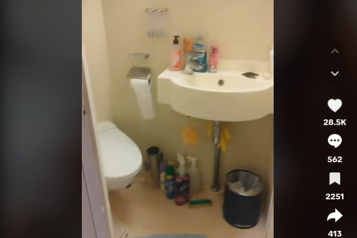 Captura del vídeo de tik tok.