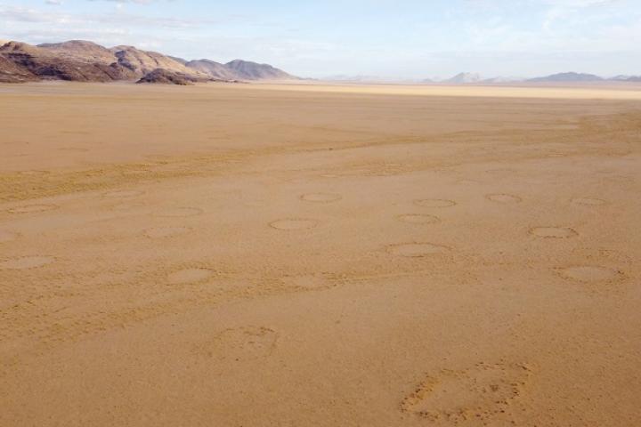 Círculos de hadas en una llanura de Namibia.