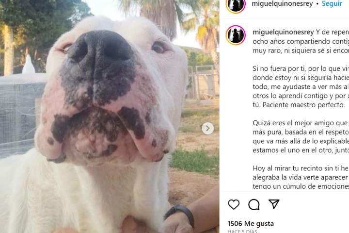 Captura de pantalla de la publicación del veterinario despidiéndose de Zeus, el perro que le acompañó durante años.