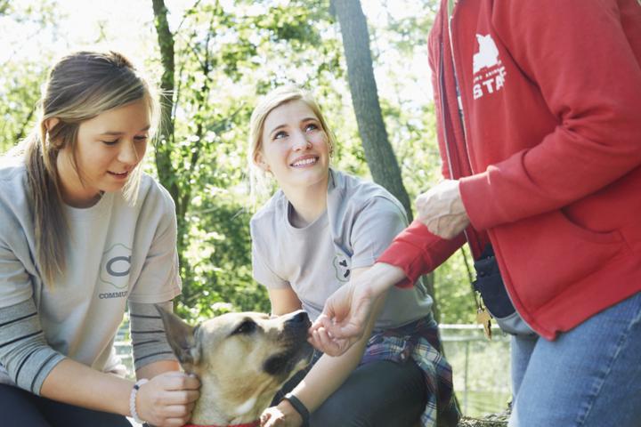 Imagen de archivo de dos voluntarias en un centro de acogida animal.