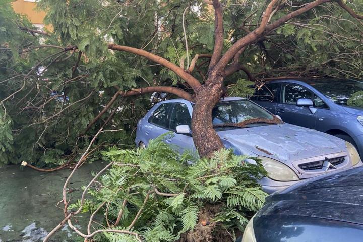 Efectos de la borrasca Bernard en Lepe, Huelva.