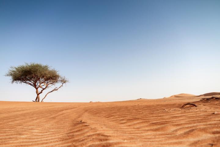 Desierto de Dubai