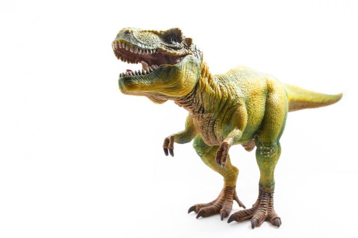 Reproducción del Tyrannosaurus Rex en forma de muñeco.